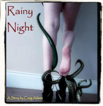 Rainy Night